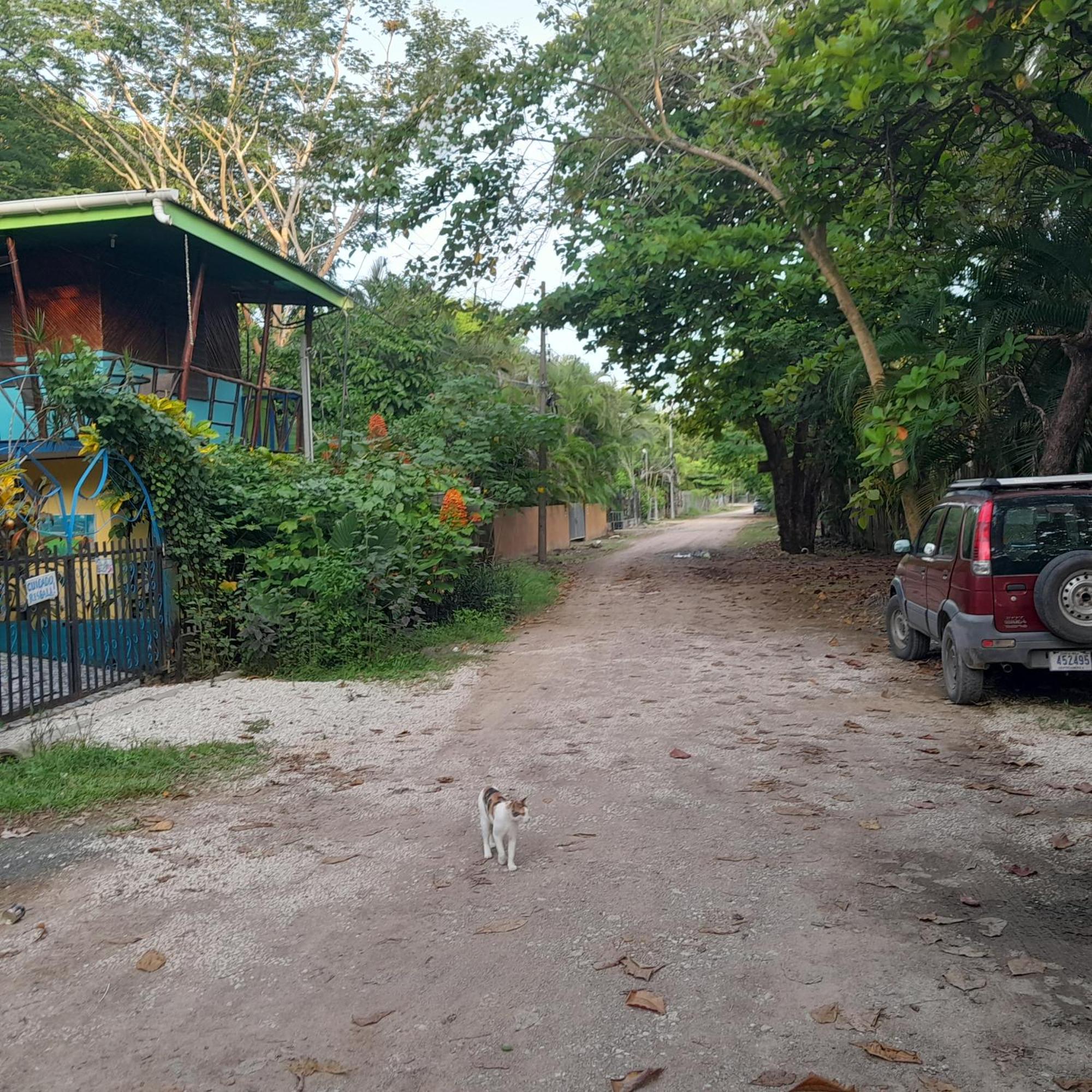 Cabinas Del Mar Самара Екстер'єр фото